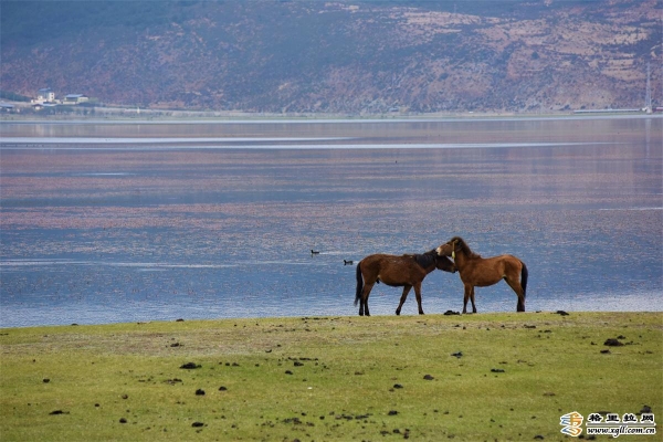 ff65be8d-47cf-4988-99bb-5544bbda3a64_batchwm ff65be8d-47cf-4988-99bb-5544bbda3a64_batchwm