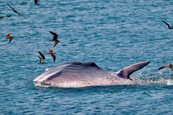 微信圖片_20210713165853