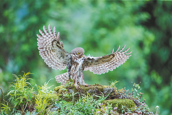 微信圖片_20210713165919