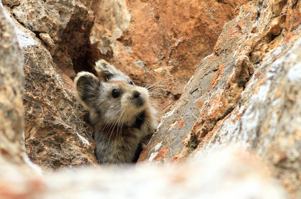 微信圖片_20210713165927