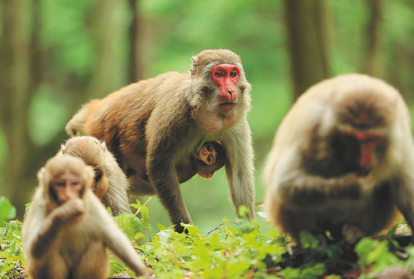 微信圖片_20210713165941