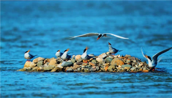 852213_670x670 852213_670x670