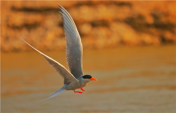 852214_670x670 852214_670x670