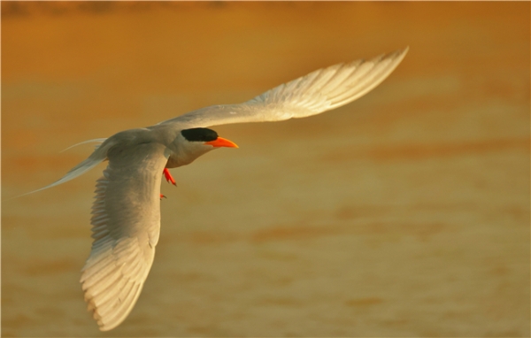 852215_670x670 852215_670x670