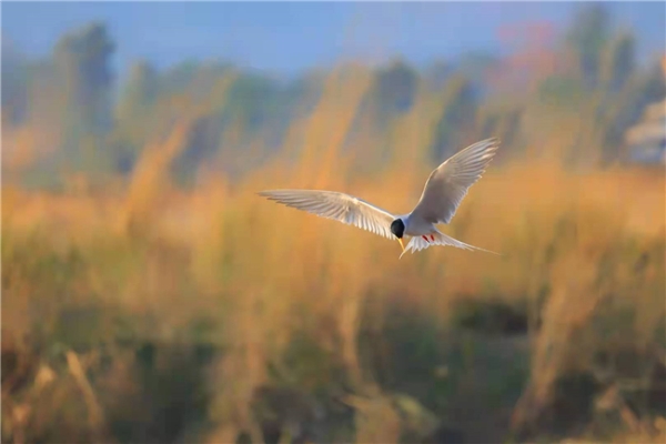 852216_670x670 852216_670x670