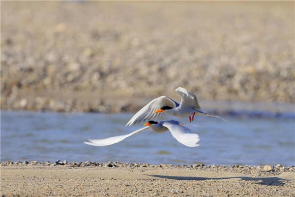 852217_670x670 852217_670x670