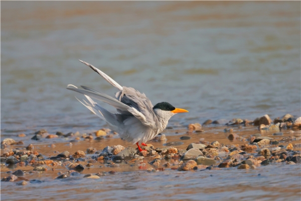 852218_670x670 852218_670x670