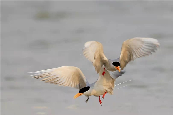 852219_670x670 852219_670x670