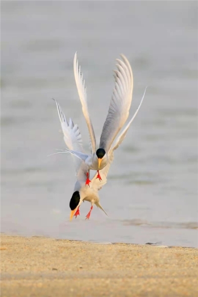 852220_670x670 852220_670x670