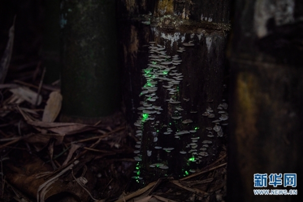 881315_670x670 881315_670x670