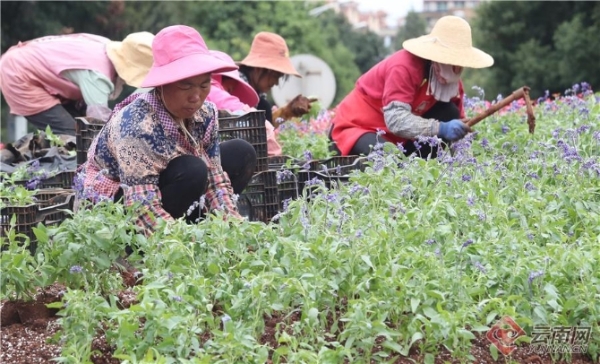 900341_670x670 900341_670x670