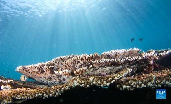 61653b55a310cdd3d812d70f_gaitubao_600x364