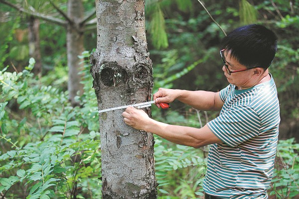 4_gaitubao_600x400 4_gaitubao_600x400