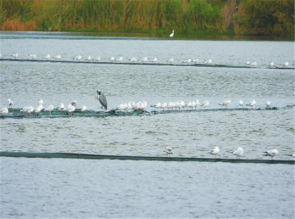 00304228686_8164d43b 00304228686_8164d43b