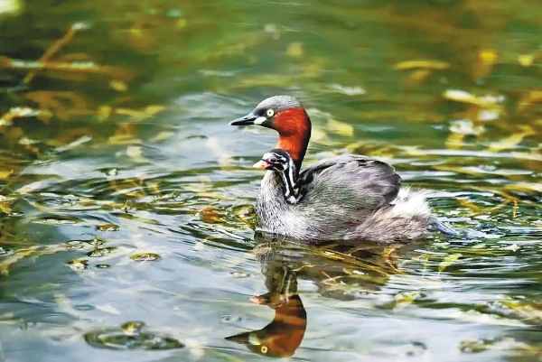 d2a0ba18-6d65-4676-a157-8ad4d710e0e6.jpg d2a0ba18-6d65-4676-a157-8ad4d710e0e6.jpg