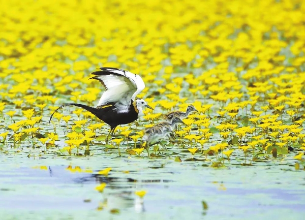 d69ad874-2169-4900-bed3-785bf016e955.jpg d69ad874-2169-4900-bed3-785bf016e955.jpg