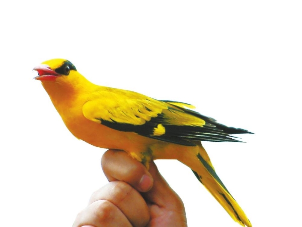 0071dd83-11c1-4358-8227-ed12c7f76a7f.jpg 0071dd83-11c1-4358-8227-ed12c7f76a7f.jpg