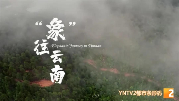 2021101821012525B9PT 2021101821012525B9PT