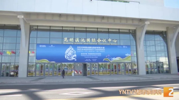 2021101821012676BGFA 2021101821012676BGFA