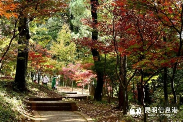 915293_670x670 915293_670x670