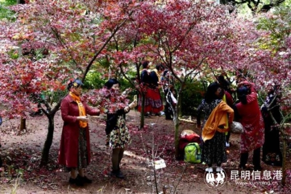 915296_670x670 915296_670x670