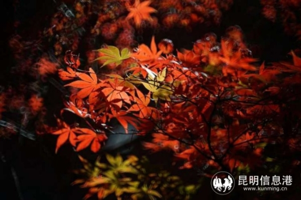 915298_670x670 915298_670x670