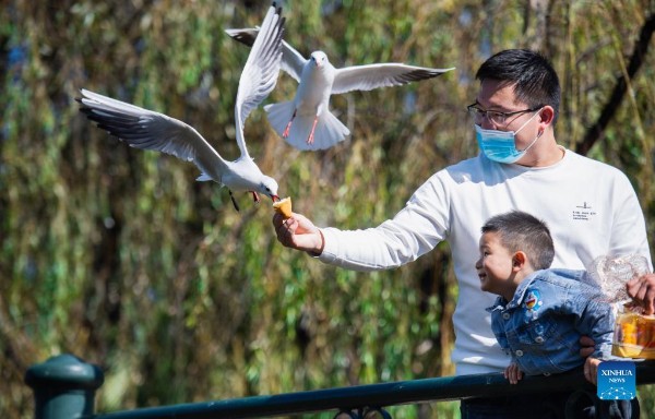 2_gaitubao_600x384 2_gaitubao_600x384