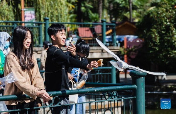 4_gaitubao_600x390 4_gaitubao_600x390