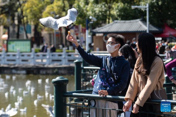 6_gaitubao_600x399 6_gaitubao_600x399