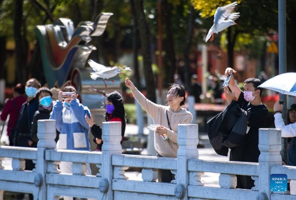 7_gaitubao_600x405 7_gaitubao_600x405