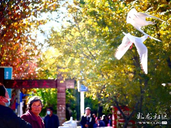 clzg_content&clzg_scale_1215_911