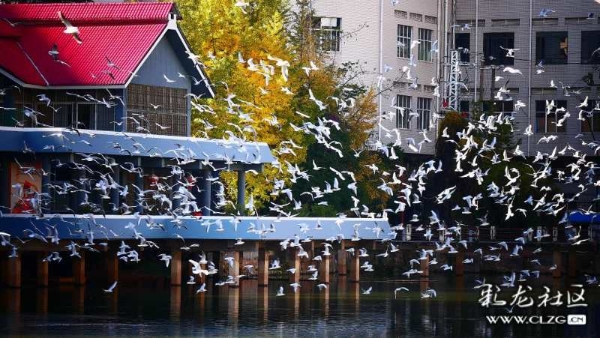 clzg_content&clzg_scale_1296_730 (2)