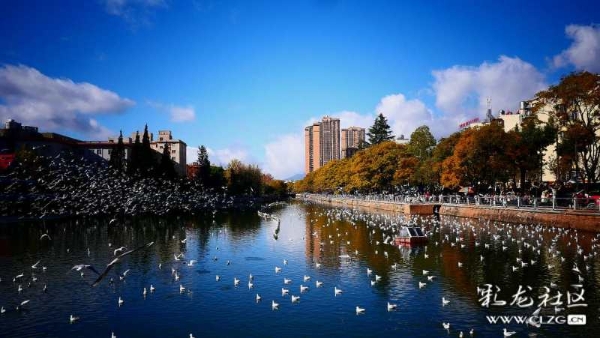 clzg_content&clzg_scale_1296_730