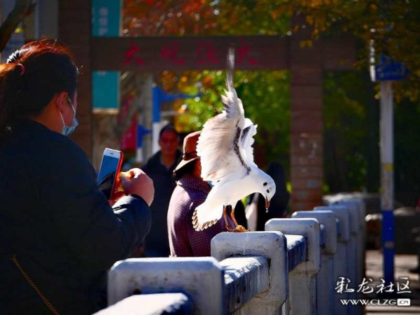 clzg_content&clzg_scale_1296_972 (2)