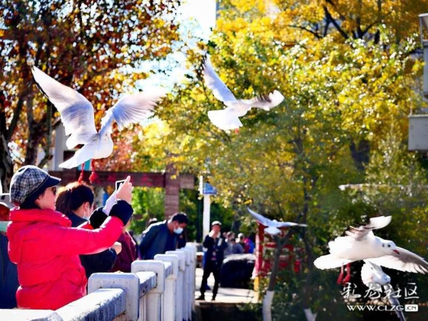 clzg_content&clzg_scale_1296_972