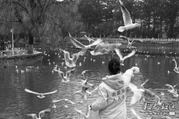 clzg_content&clzg_scale_3991_2660