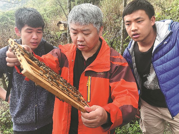 6191b851a310cdd3d81a6efc