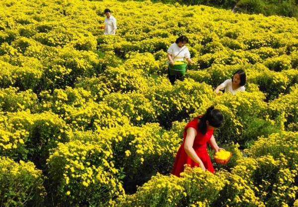 3dbf230d8cf960cc88ba000a4c800940