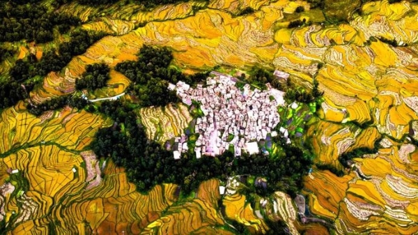 260e3b5affcdc4b1d90e5f7f639f54e4