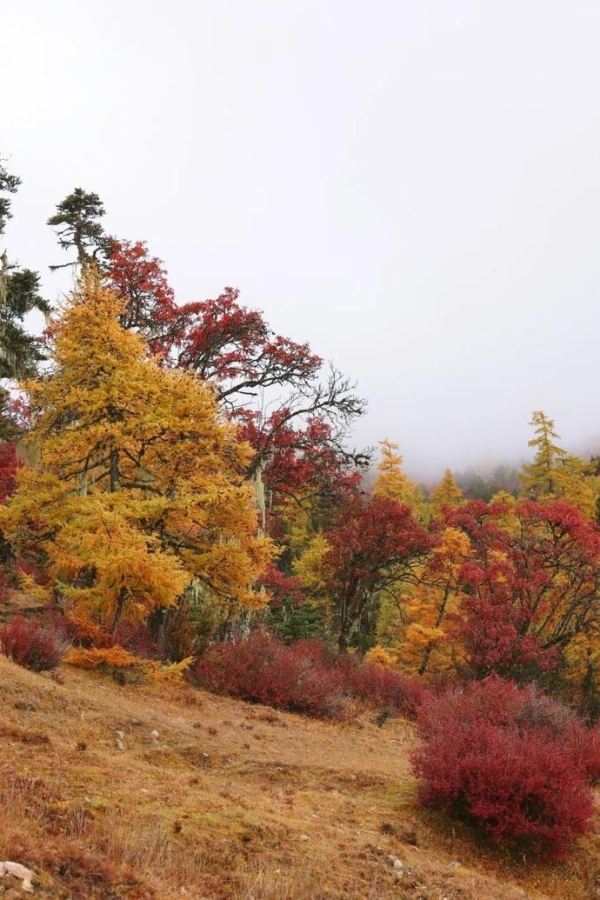 3601af9659ce56488ffc491e7516be24