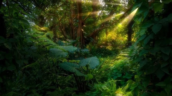 22325a2b52a9e19c88d3ddd1f4359741