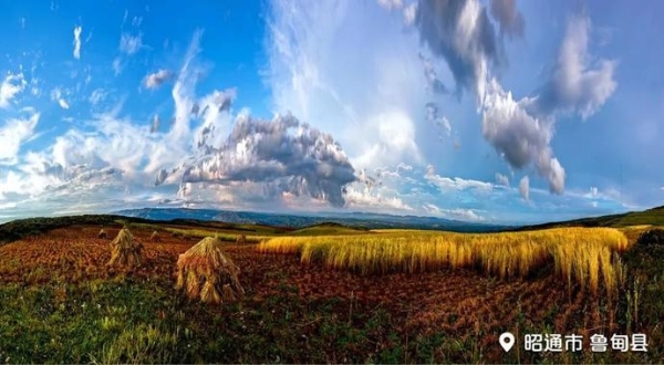 49105cf9949c86939f3a535a8081e85b