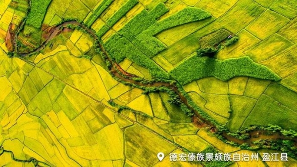 d649b767db76b4e39c49a664475ac00e