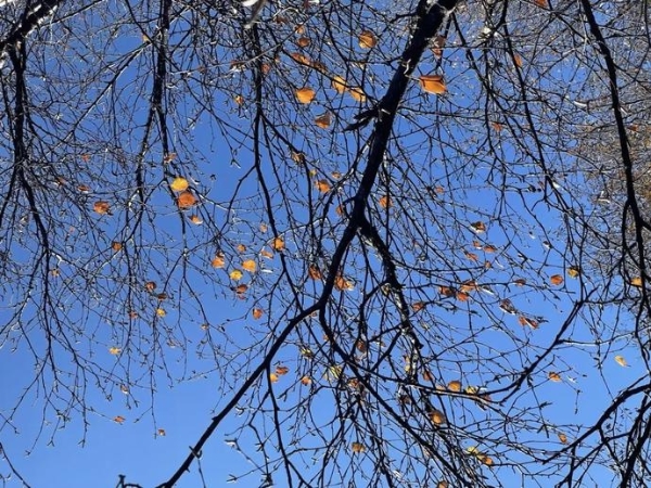 dee4c49f2e98ea2c97b7f54fad6d1660