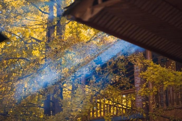 f25e6dee538f669ca2e82469f0bdeea2