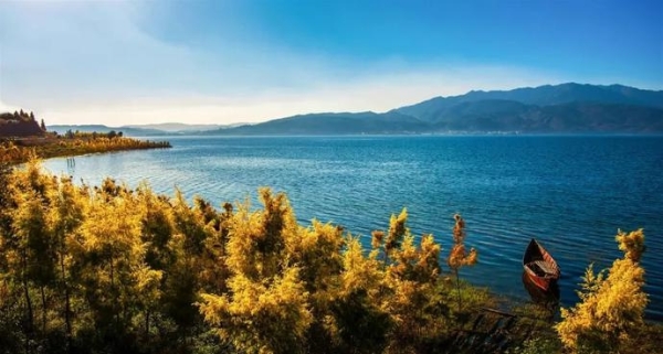 c9160092e5cab7edb163dd0e75ac8e1e