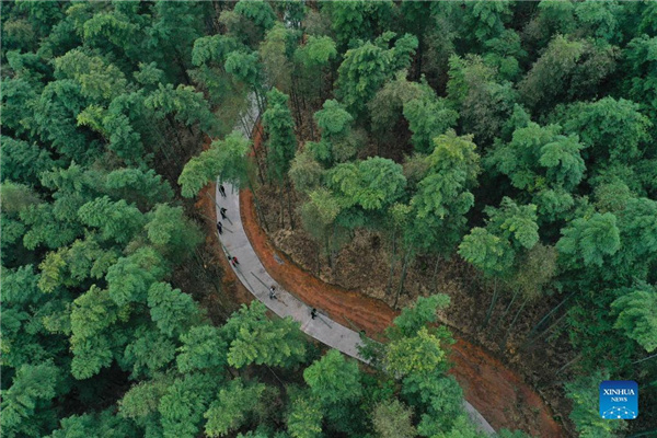 1310316079_16371188716361n