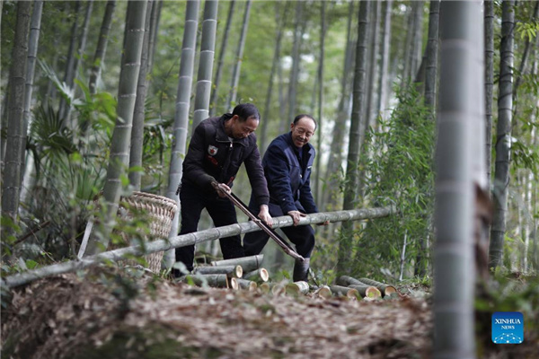 1310316079_16371188718111n