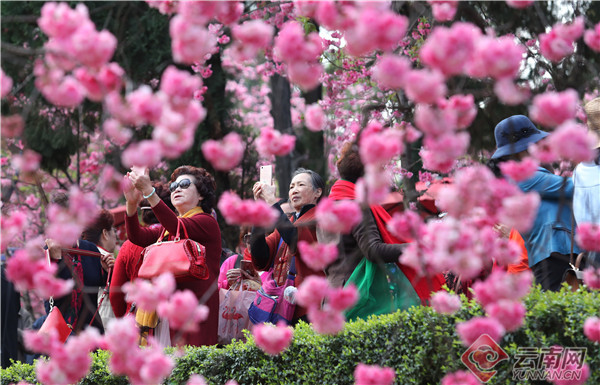 00304297800_82aaa8e5