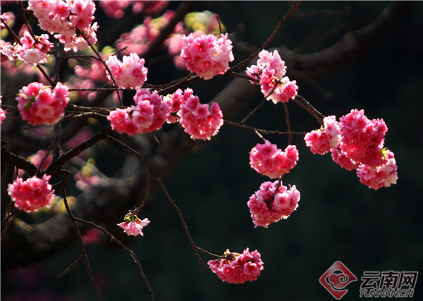 00304297801_20b361a0